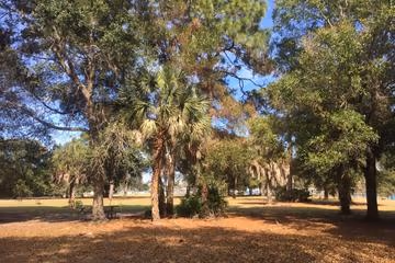 West Dog Park photo 1